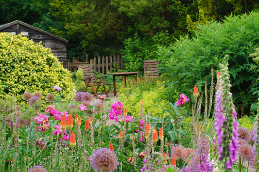 Les plus belles plantes à floraison estivale pour un jardin coloré