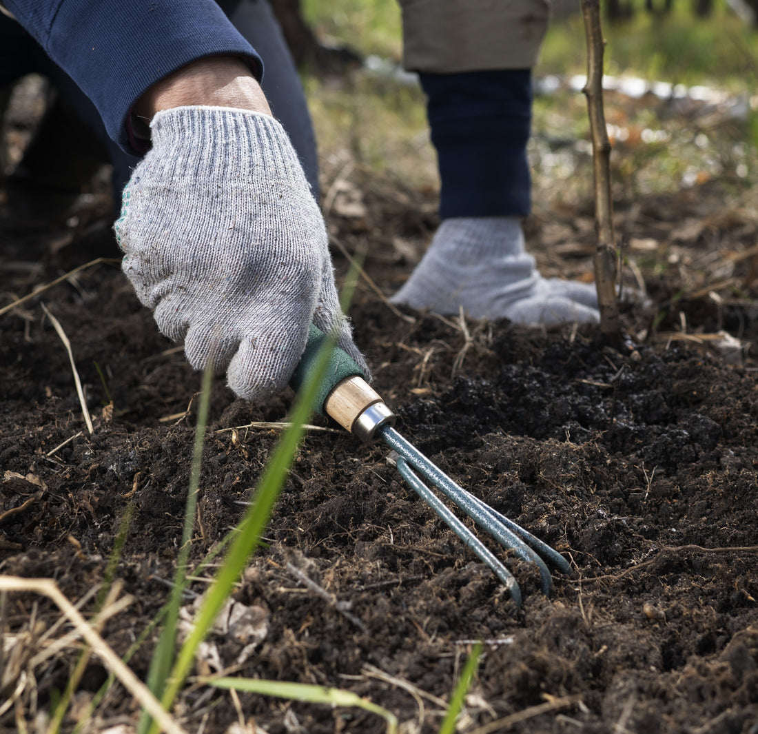 Comment bien désherber son jardin ? Méthodes efficaces et durables